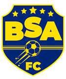 Brazilian Soccer Academy LLC